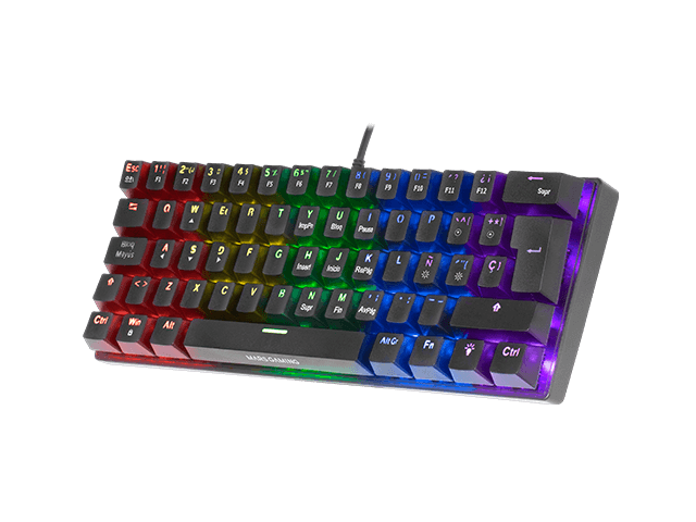 12 EFECTOS ILUMINACIÓN RAINBOW FRGB