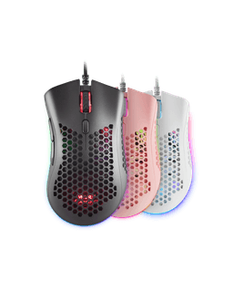 MMEX 1
