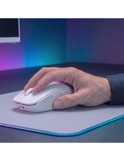 MMW-NEO 10
