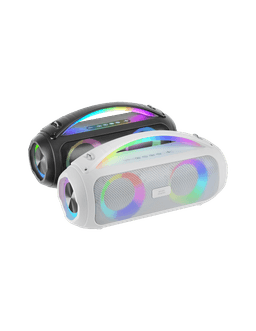 MS-PULSE 1